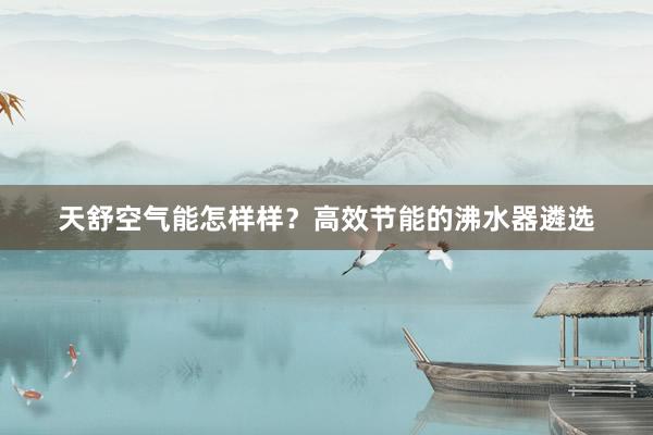 天舒空气能怎样样？高效节能的沸水器遴选