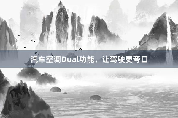 汽车空调Dual功能，让驾驶更夸口